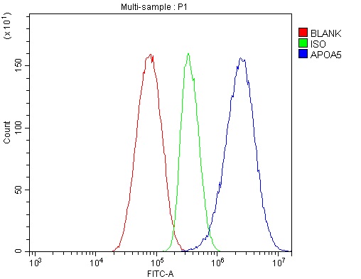 Apolipoprotein A V/APOA5 Antibody
