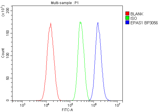a01248 1 epas1 primary antibodies fcm testing 2