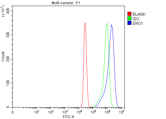 a01250 2 eno1 primary antibodies fcm testing 10