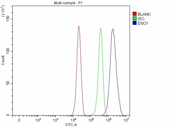 a01250 3 eno1 primary antibodies fcm testing 4