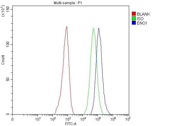 a01250 3 eno1 primary antibodies fcm testing 5