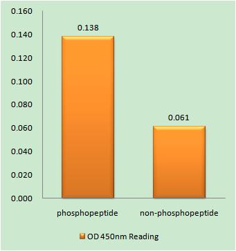 a01252s513 mdc1 primary antibodies elisa testing 1