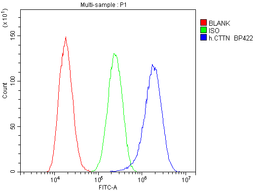Flow Cytometry analysis of A549 cells using anti-cortactin antibody (A01253-1). Overlay histogram showing A549 cells stained with A01253-1 (Blue line).The cells were blocked with 10% normal goat serum. And then incubated with rabbit anti-cortactin Antibody (A01253-1,1μg/1x106 cells) for 30 min at 20°C. DyLight®488 conjugated goat anti-rabbit IgG (BA1127, 5-10μg/1x106 cells) was used as secondary antibody for 30 minutes at 20°C. Isotype control antibody (Green line) was rabbit IgG (1μg/1x106) used under the same conditions. Unlabelled sample (Red line) was also used as a control.