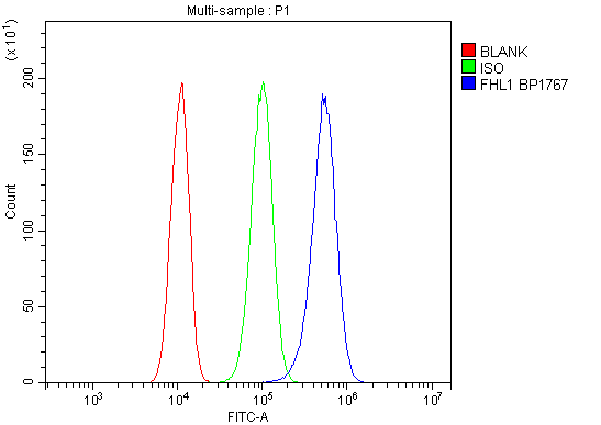 a01258 1 fhl primary antibodies fc testing 5_1
