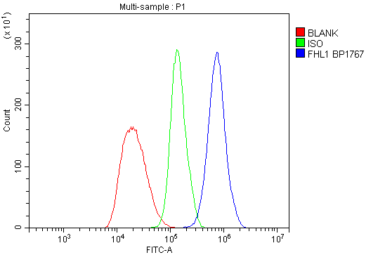 a01258 2 fhl primary antibodies fc testing 2_1