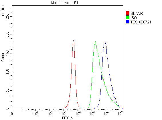 Flow Cytometry analysis of SH-SY5Y cells using anti-TES antibody (A01266-1)