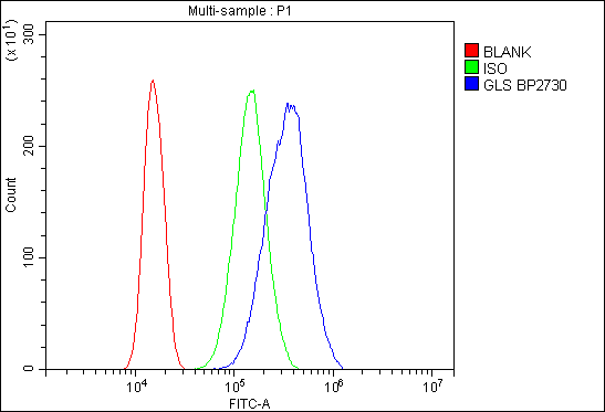 a01272 2 gls primary antibodies fcm testing 12