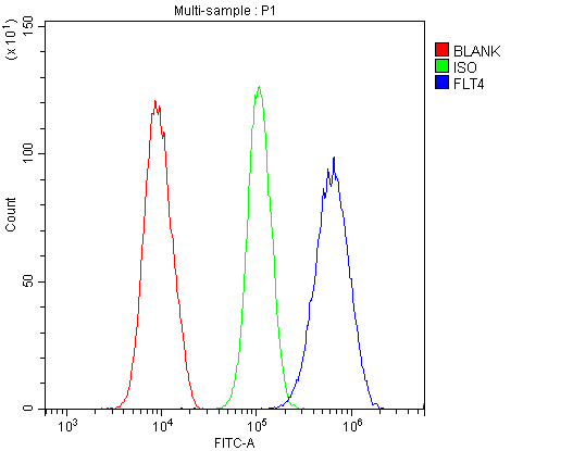 Flow Cytometry analysis of U20S cells using anti-VEGF Receptor 3 antibody (A01276-2). Overlay histogram showing U20S cells stained with A01276-2 (Blue line).The cells were blocked with 10% normal goat serum. And then incubated with rabbit anti-VEGF Receptor 3 Antibody (A01276-2,1μg/1x106 cells) for 30 min at 20°C. DyLight®488 conjugated goat anti-rabbit IgG (BA1127, 5-10μg/1x106 cells) was used as secondary antibody for 30 minutes at 20°C. Isotype control antibody (Green line) was rabbit IgG (1μg/1x106) used under the same conditions. Unlabelled sample (Red line) was also used as a control.