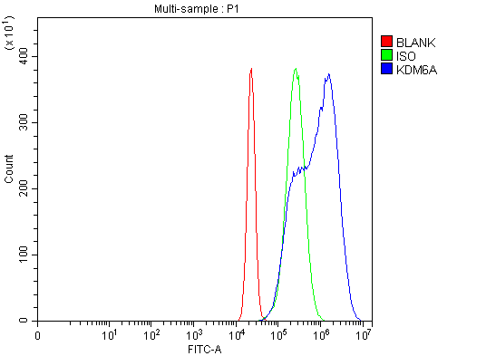 Flow Cytometry analysis of Hela cells using anti-UTX/KDM6A antibody (A01286-2)