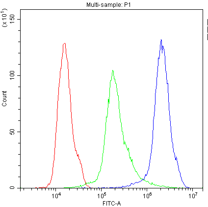 a01291 1 cnr1 primary antibodies fc testing 4