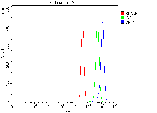  Flow Cytometry analysis of U251 cells using anti-Cannabinoid Receptor 1/CNR1 antibody (A01291-2)
