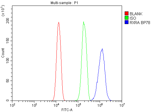 a01299 1 rxra primary antibodies fcm testing 6