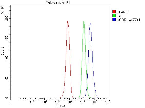Flow Cytometry analysis of HepG2 cells using anti-NCOR1 antibody (A01304-2)