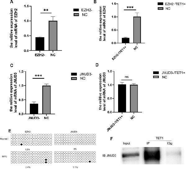 a01309 1 12864_2024_10120_fig3_html