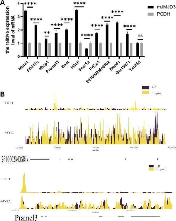 a01309 1 12864_2024_10120_fig4_html
