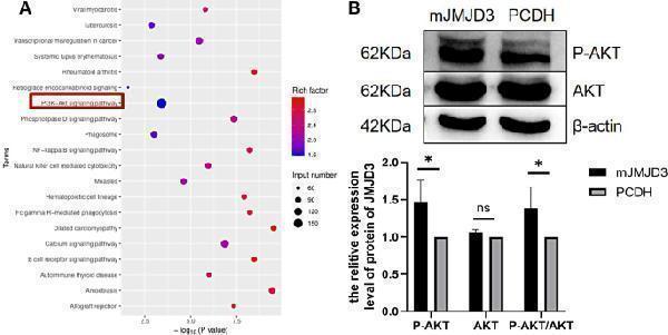 a01309 1 12864_2024_10120_fig5_html
