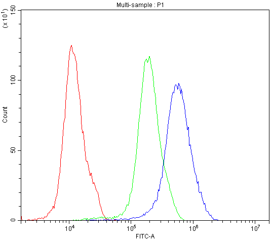 a01312 1 satb1 primary antibodies fc testing 2