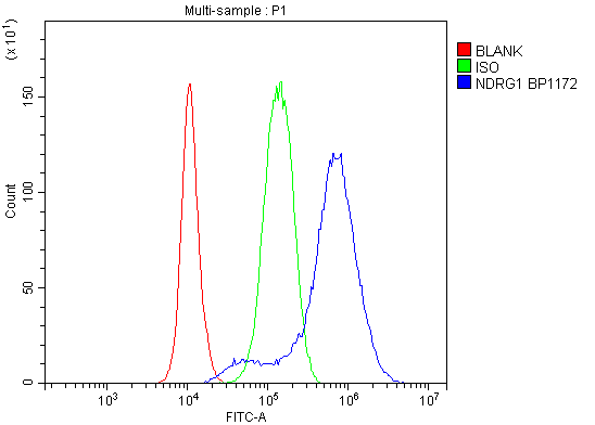 a01327 1 ndrg1 primary antibodies fc testing 2