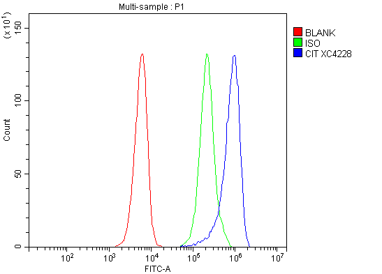  Flow Cytometry analysis of SiHa cells using anti-CIT antibody (A01331-2)