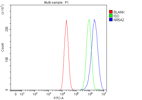 a01332 1 nr5a2 primary antibodies fcm testing 5