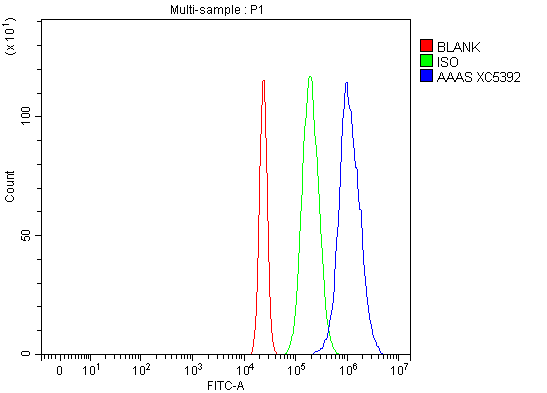a01336 3 aaas primary antibodies fcm testing 1