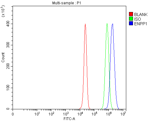 a01342 1 enpp1 primary antibodies fcm testing 5