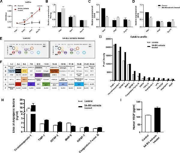 The effect of SA-BG extracts on the biological characterization and paracrine capacity of hAECs