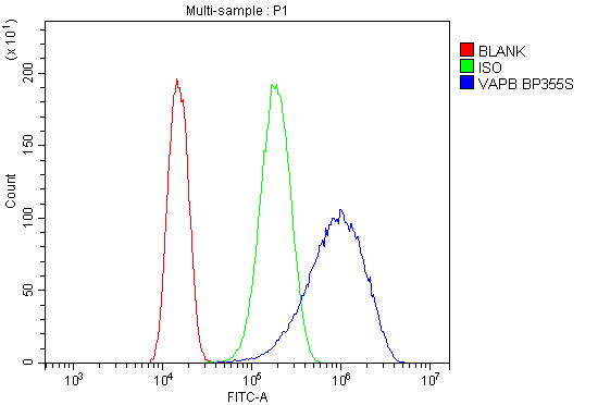 a01372 vapb primary antibodies fcm testing 8