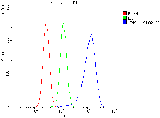 a01372 vapb primary antibodies fcm testing 9