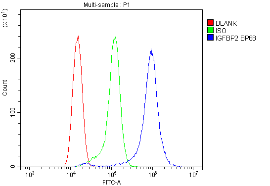 a01373 2 igfbp2 primary antibodies fcm testing 8