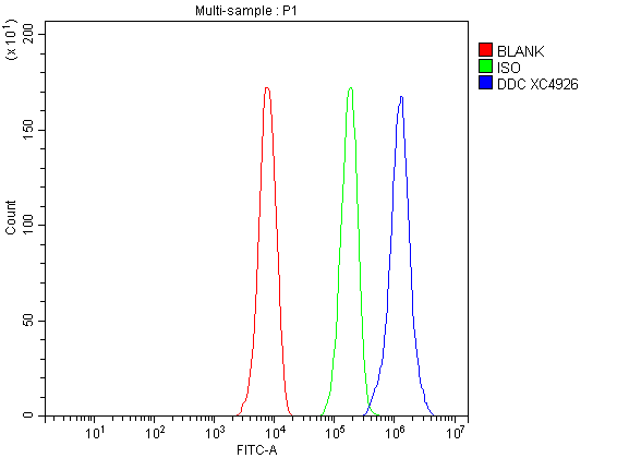 a01374 2 dopa decarboxylase ddc primary antibodies fcm testing 2