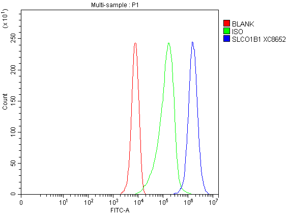 Flow Cytometry analysis of HepG2 cells using anti-SLCO1B1 antibody (A01375-2)