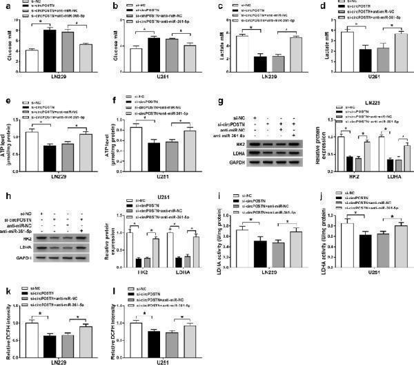a01389 12935_2020_1454_fig5_html
