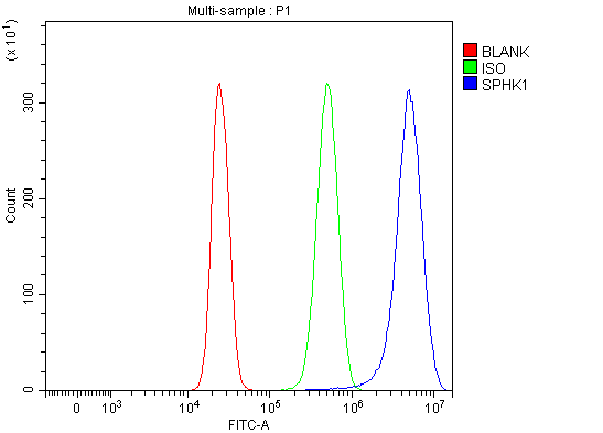  Flow Cytometry analysis of HepG2 cells using anti-SPHK1 antibody (A01390-2)