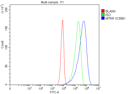 a01401 1 mtrr primary antibodies fcm testing 2