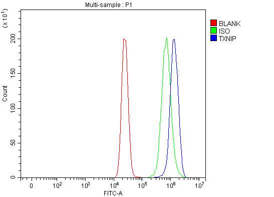  Flow Cytometry analysis of MCF-7 cells using anti-TXNIP antibody (A01409-3)