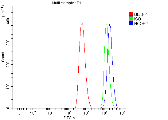  Flow Cytometry analysis of Hela cells using anti-NCOR2 antibody (A01412-2)