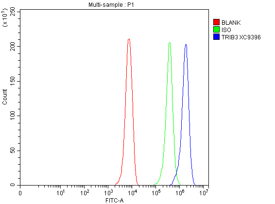 Flow Cytometry analysis of HepG2 cells using anti-TRIB3 antibody (A01414-2)
