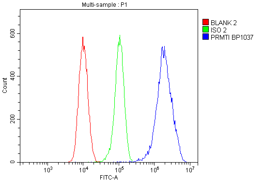 a01417 3 prmt1 primary antibodies fcm testing 3