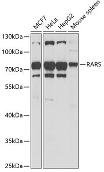 a01418 rars primary antiboties wb testing 1