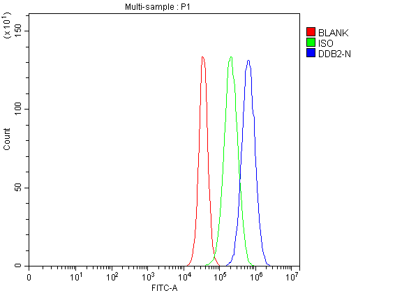  Flow Cytometry analysis of U87 cells using anti-DDB2 antibody (A01430-2)
