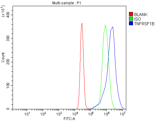  Flow Cytometry analysis of K562 cells using anti-TNF Receptor II/TNFRSF1B antibody (A01437-1)
