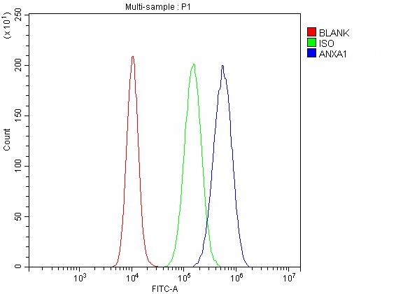 a01451 1 anxa1 primary antibodies fcm testing 12