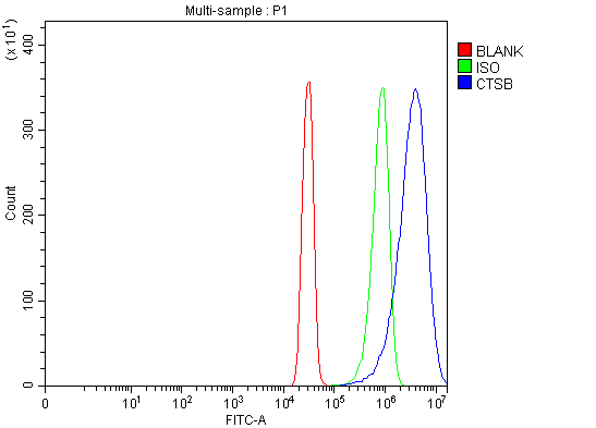 a01456 3 ctsb primary antibodies fcm testing 7