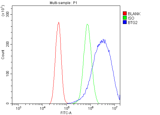 a01461 1 btg2 primary antibodies fcm testing 2_1