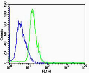 a01467 1 anti htr1a antibody center fc testing 2