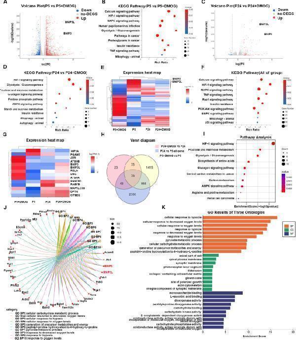 a01469 13287_2025_4422_fig5_html