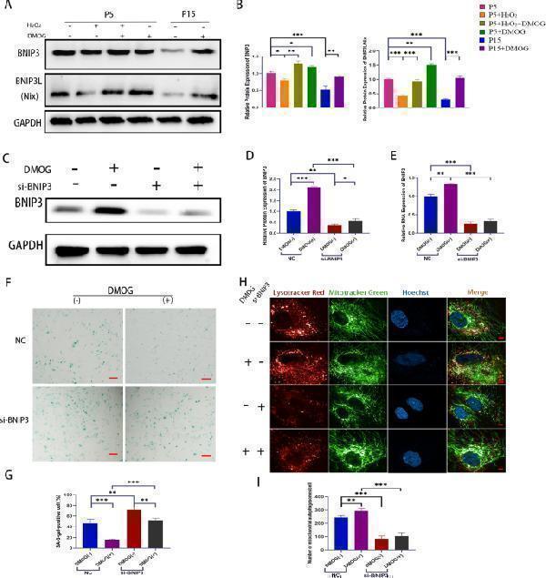 a01469 13287_2025_4422_fig6_html
