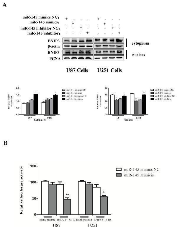 a01469 oncotarget 08 61510 g007