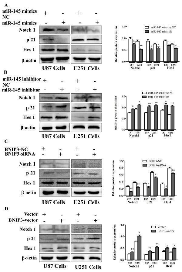 a01469 oncotarget 08 61510 g011